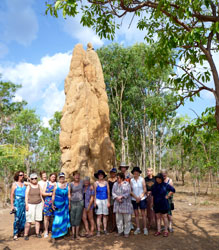 Giant Termite Mounds