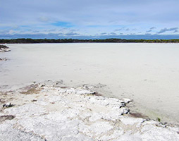 Coorong Salt Lakes