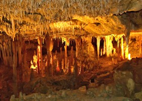 Naracoorte Caves Tour