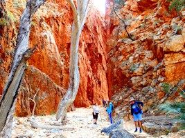 Standley Chasm Tour