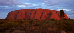 Uluru Tour